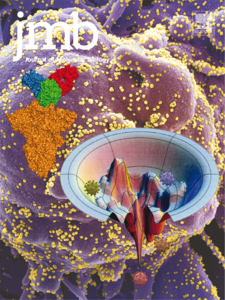 Cover of the Journal of Molecular Biology