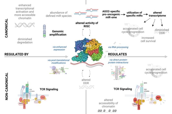 Figure 1 [IMAGE] | EurekAlert! Science News Releases
