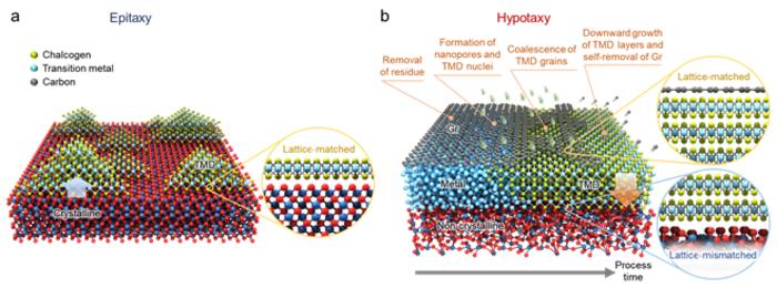 Figure 1: Schematic comparison between TMD growth via epitaxy and Hypotaxy.