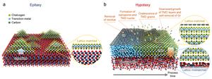 Figure 1: Schematic comparison between TMD growth via epitaxy and Hypotaxy.