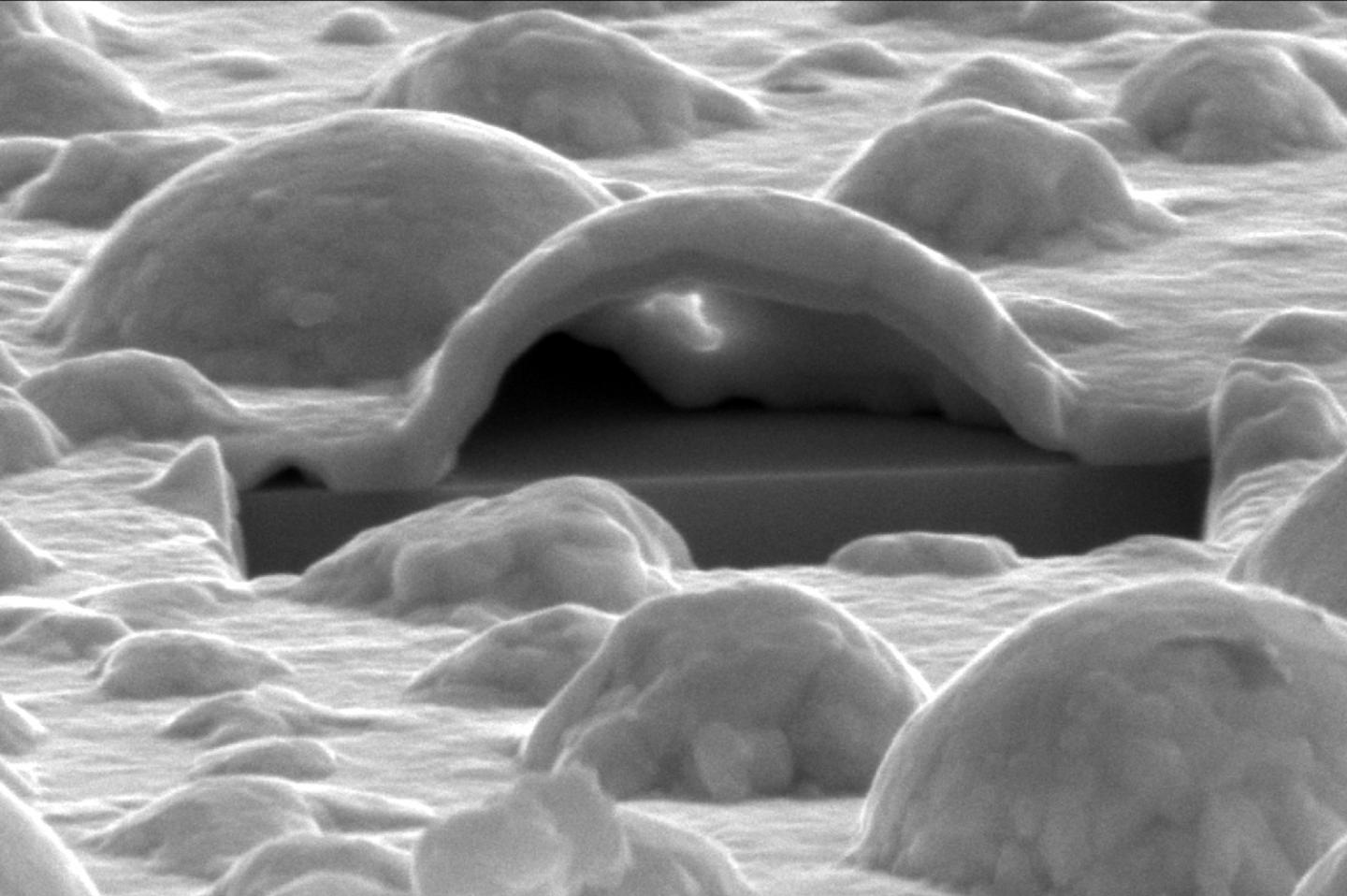 Platinum Forms Nano-Bubbles