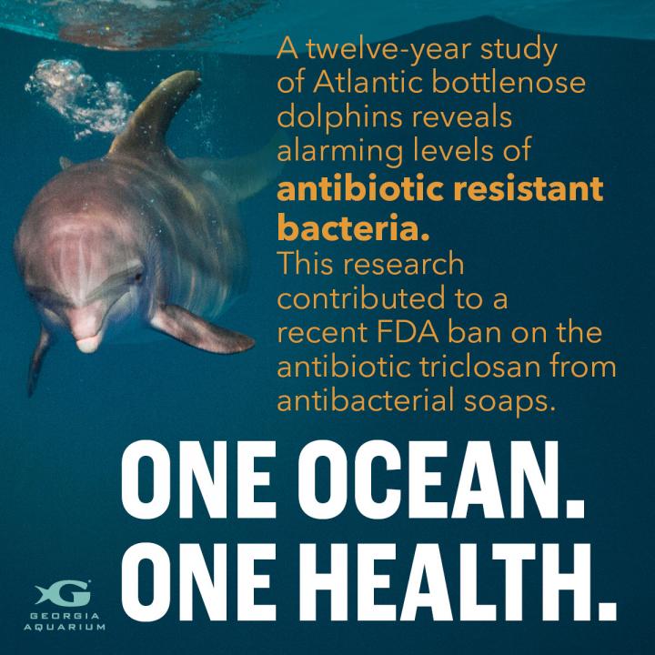 One Ocean. One Health.