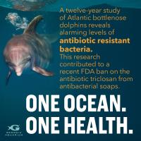 One Ocean. One Health.