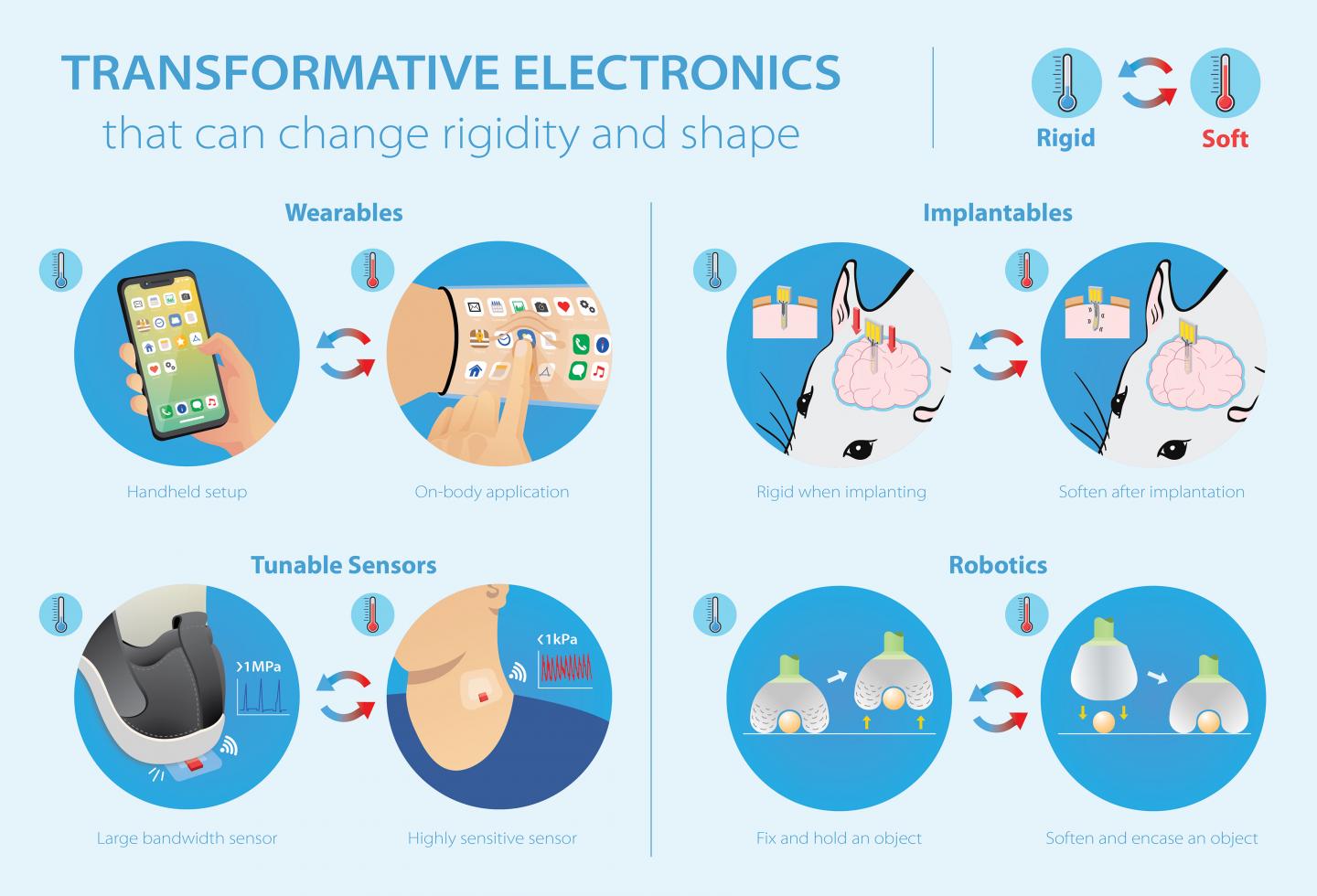 Building Benefits of Hard and Soft Electronics Into Single Device (8 of 13)