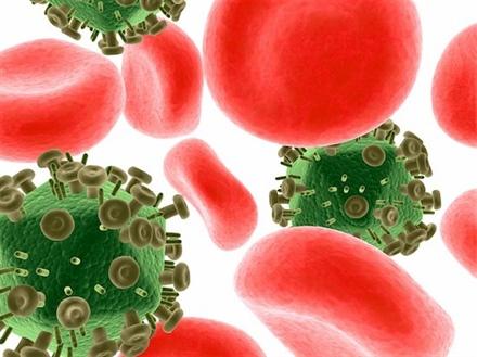 Blood Cells and Viruses