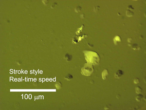 Synthesized microrobots propelling themselves