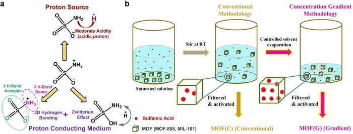 Schematic Illustration of HSA Properties and Synthesis Methodology