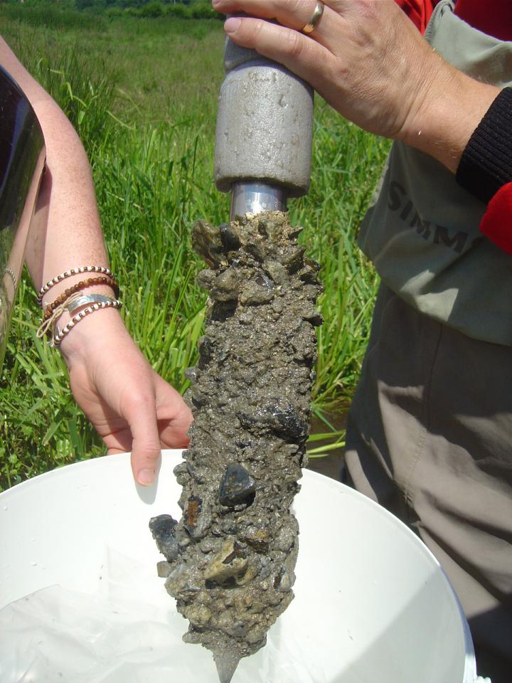 Core from a Chalk Stream
