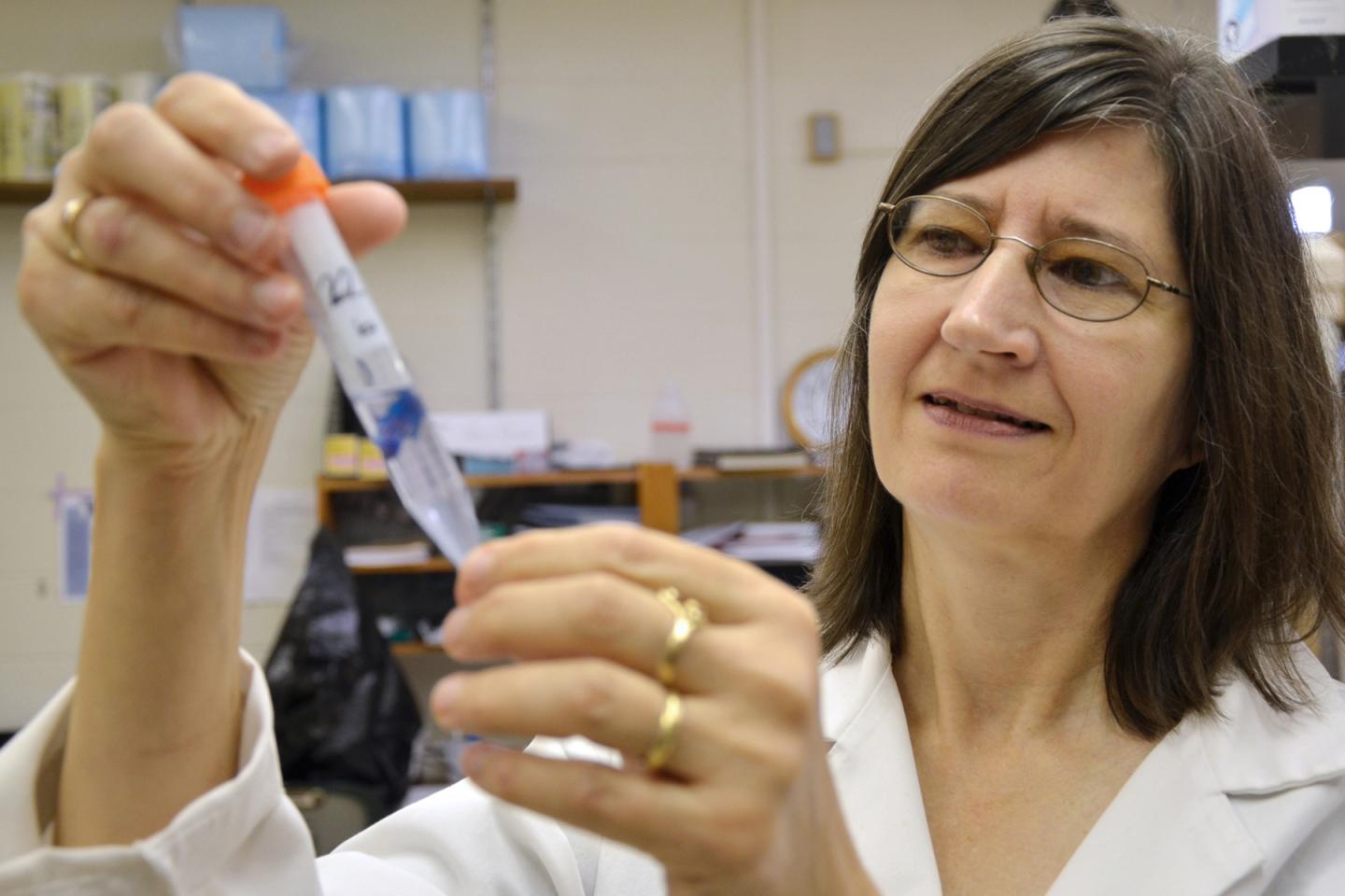 Terry Hrubec, Virginia Tech