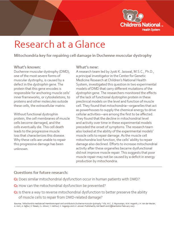Research at a Glance: Mitochondria Key for Repairing Cell Damage in Duchenne Muscular Dystrophy
