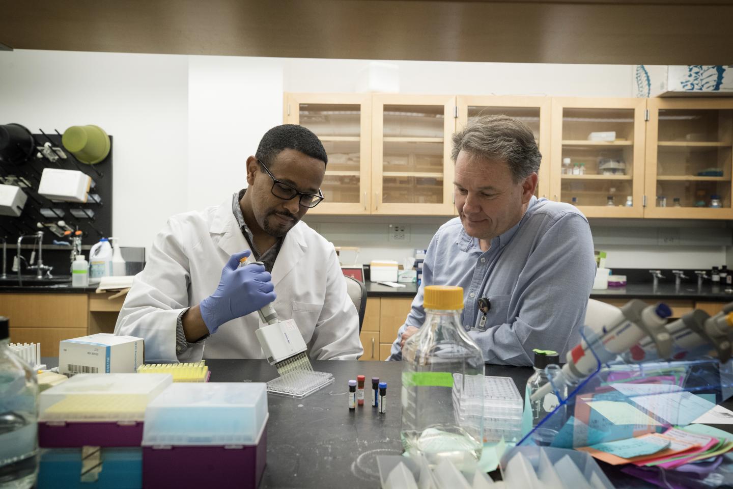 UVA Discovers Secret to Making Immune Cells Better Cancer Killers