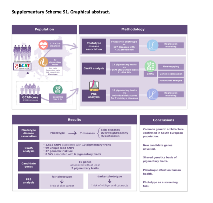 Graphical abstract. Supplementary Scheme S1