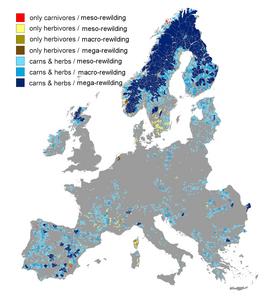 European rewilding