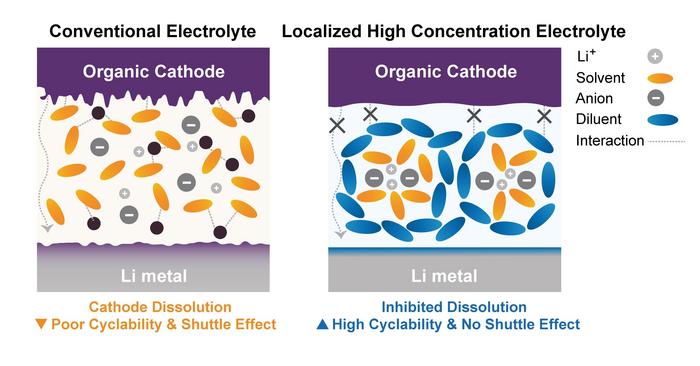 Figure 1. Schematic illustration of organic electrode-based LIB using different types of electrolytes.