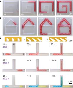 Applications of directional liquid transport on rigid CMIA.