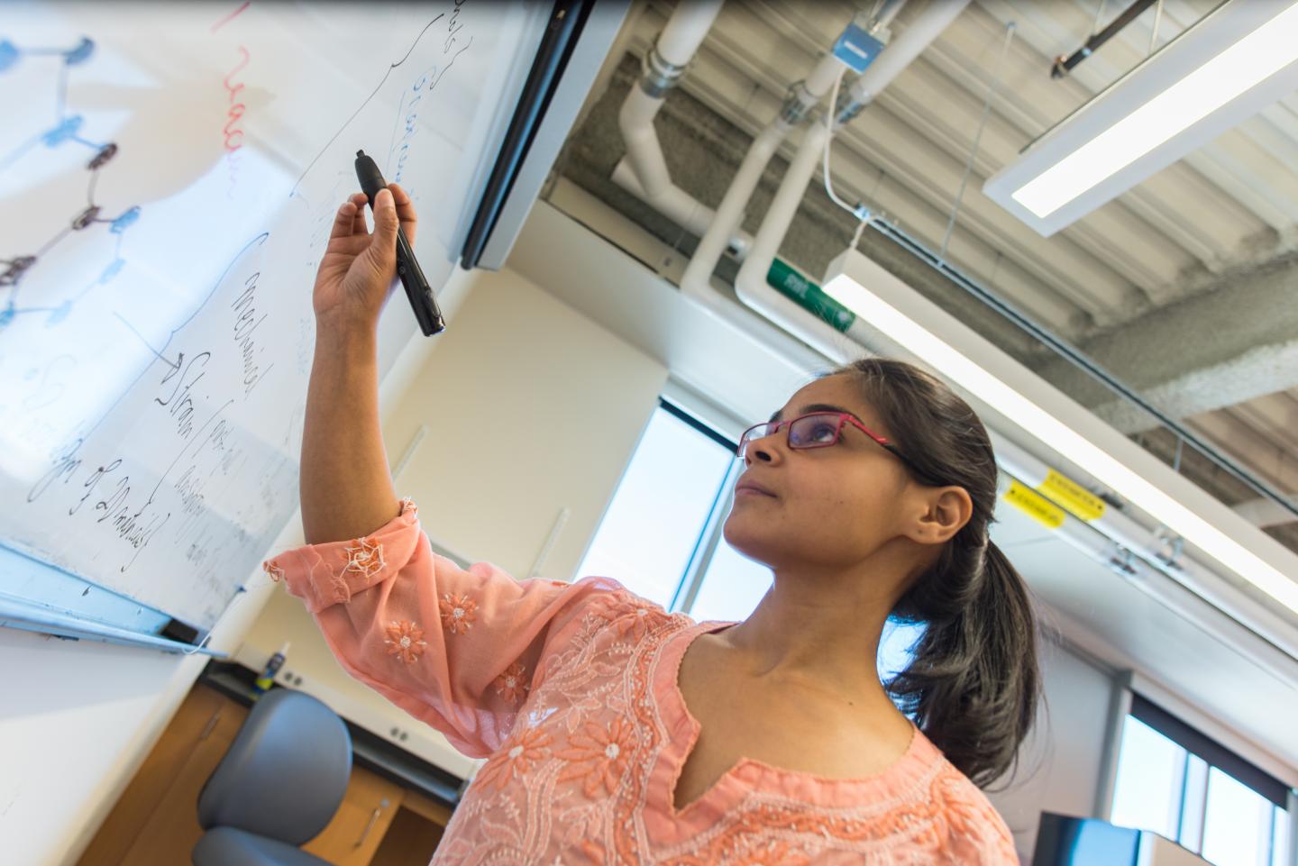 University of Vermont Physicist Sanghita Sengupta
