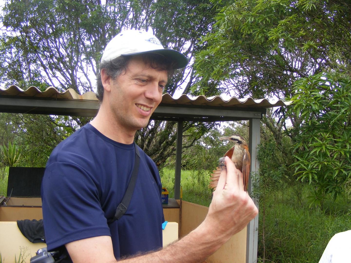 Jeff Podos, University of Massachusetts at Amherst 