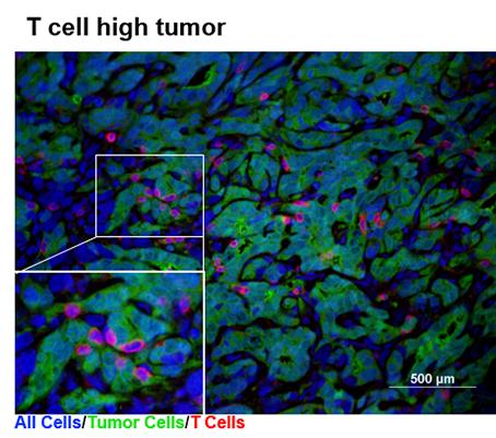 Running Hot or Cold (2 of 2)