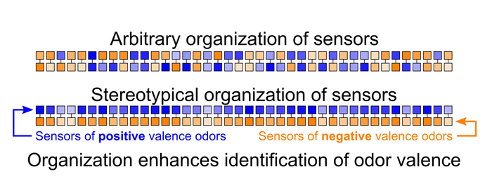 Fly sensor array