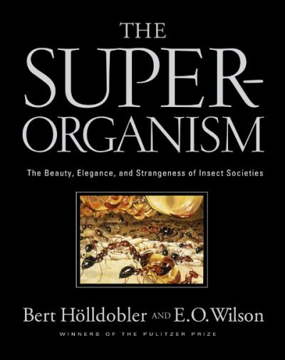 The Superorganism