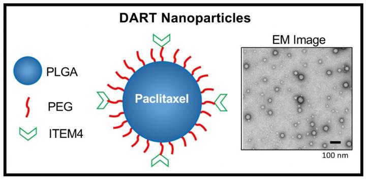 DART Nanoparticles