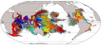 Coral Larvae Dispersal