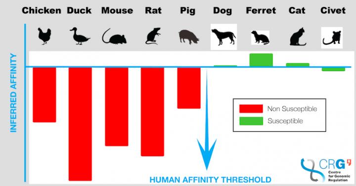 Spike binding affinity across different species