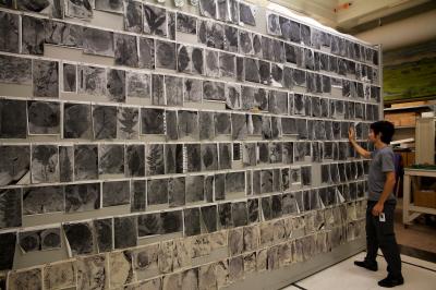 A Botanical Garden Made of Stone