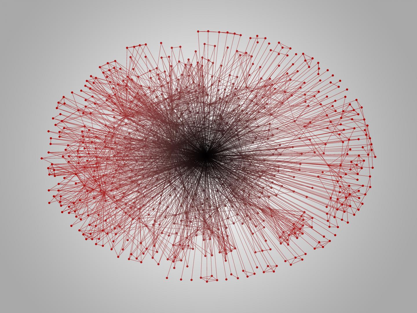 Scientific Collaborations