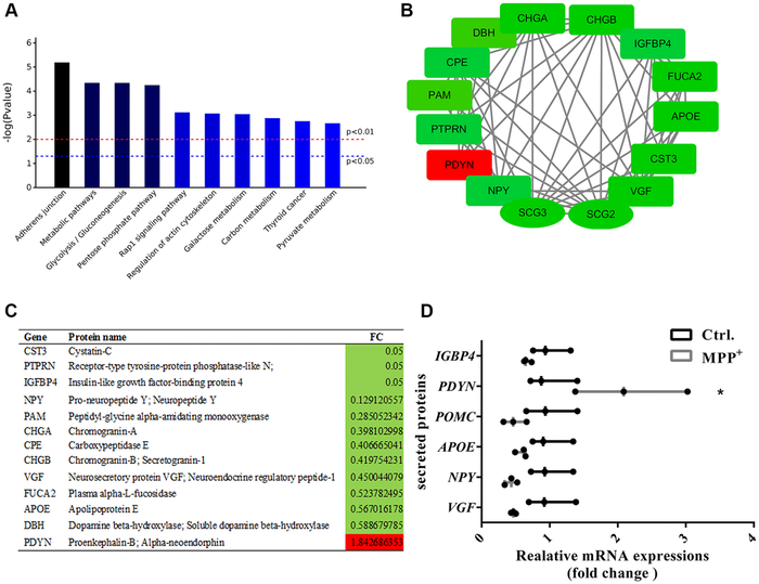 Enrichment and PPI analysis of 56 significantly differentially expressed secretory granule proteins and 140 secreted proteins