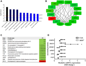 Enrichment and PPI analysis of 56 significantly differentially expressed secretory granule proteins and 140 secreted proteins