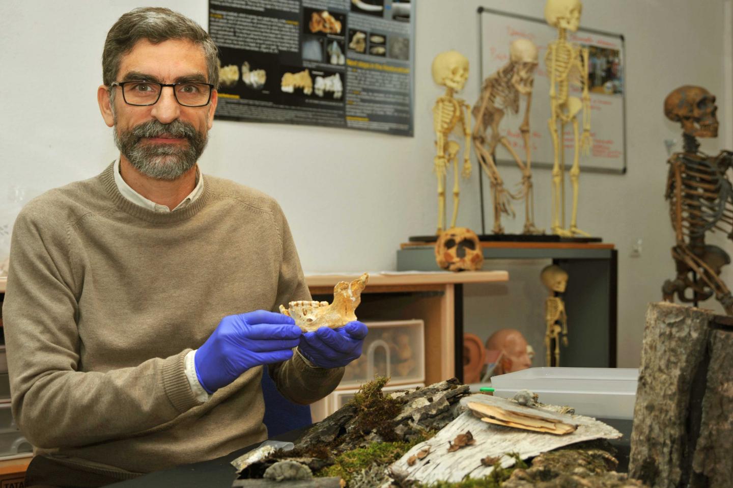 Antonio Rosas, Spanish National Research Council