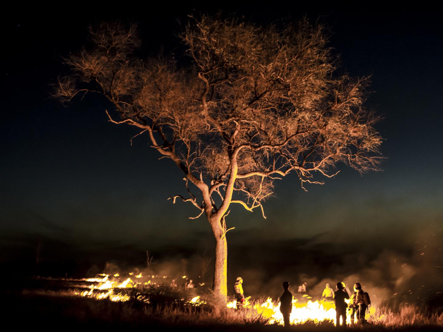 Kruger Burn (1 of 2)