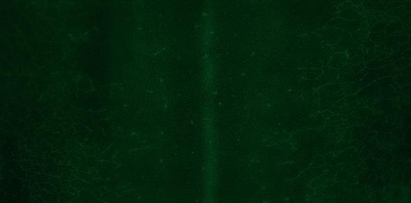 Images Reveal How Bird Feathers Form in a Wave-Like Motion