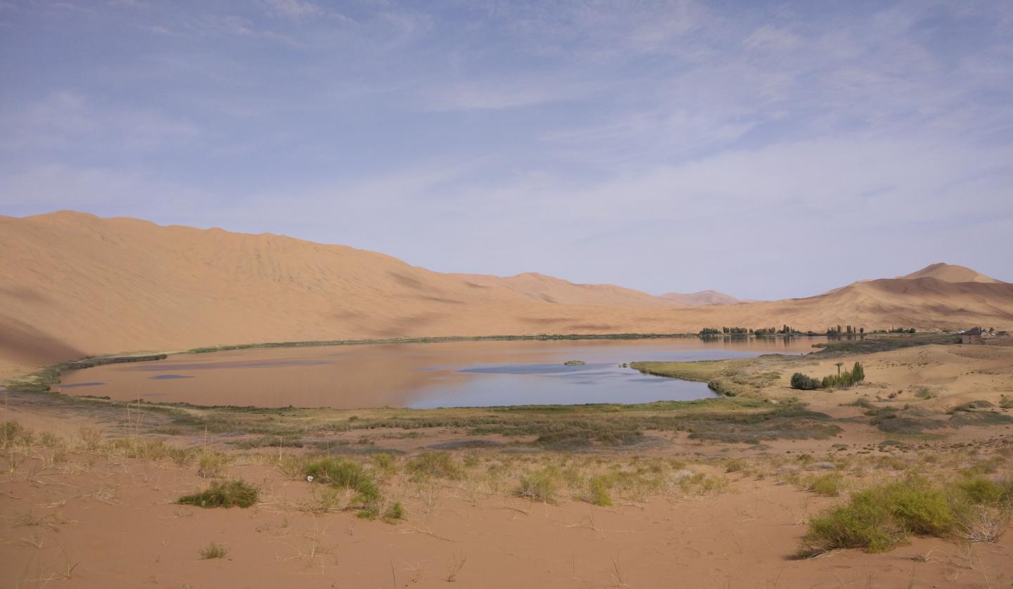 Landscape of Megadune