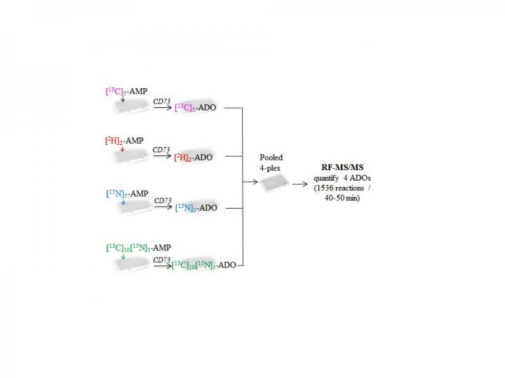 Multiplex RF -- MS/MS Assay