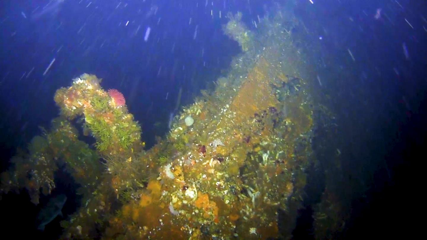 Wreckage of the U.S.S. Abner Read