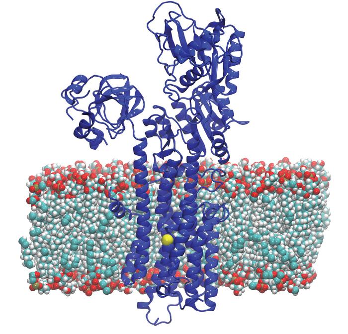 Illustration LCMA1