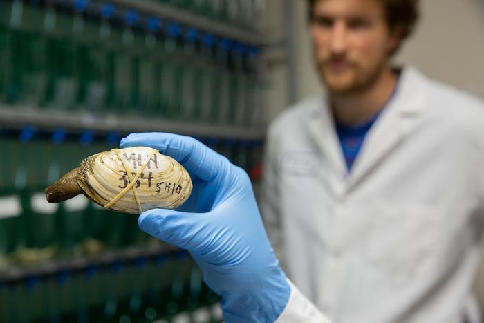 Metzger Lab members examine a clam at Pacific Northwest Research Institute