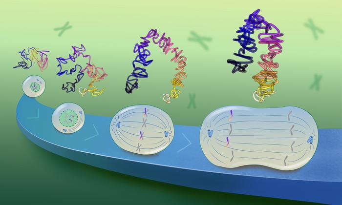 DNA tracing