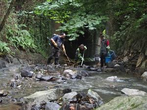 Stream Ecology group