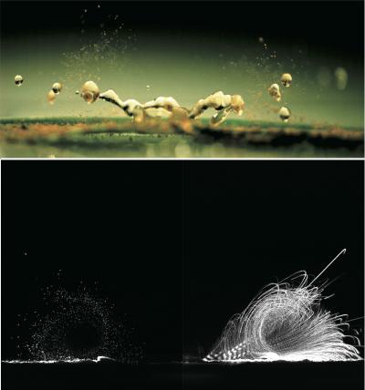 Vortex-Induced Pathogen Dispersal Upon Impact