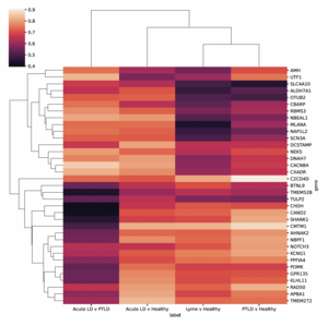 Lyme study heatmap