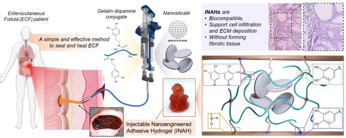 A groundbreaking Adhesive Gel for treating gastrointestinal leaks, developed by scientists at the Terasaki Institute for Biomedical Innovation