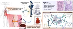 A groundbreaking Adhesive Gel for treating gastrointestinal leaks, developed by scientists at the Terasaki Institute for Biomedical Innovation