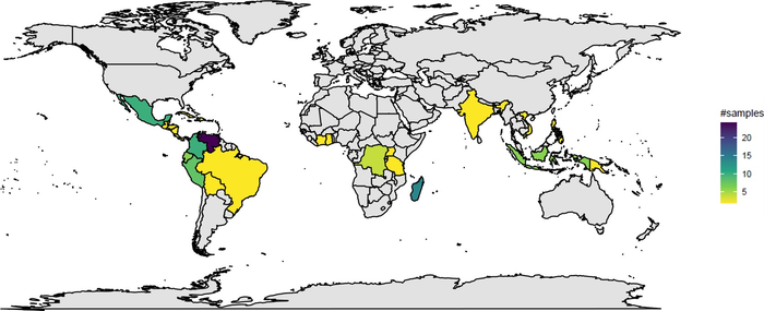 World map of cocoa producing countries