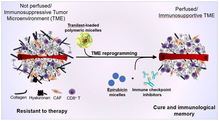 TME reprograming with Tranilast-loaded polymeric micelles