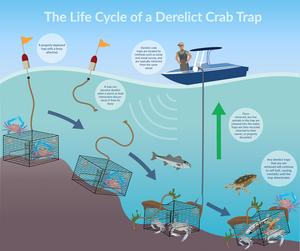 Derelict Crab Traps