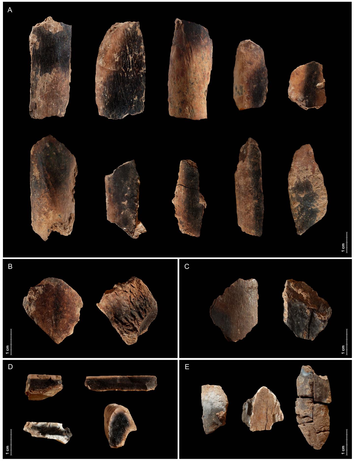 Burned Animal Bones from Qesem Cave