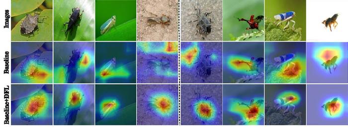 Causality-Inspired Method Boosts Crop Pest Recognition